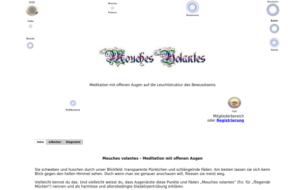 mouches-volantes.com