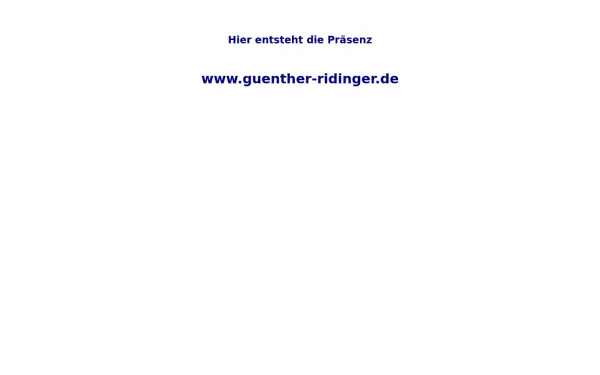 guenther-ridinger.de