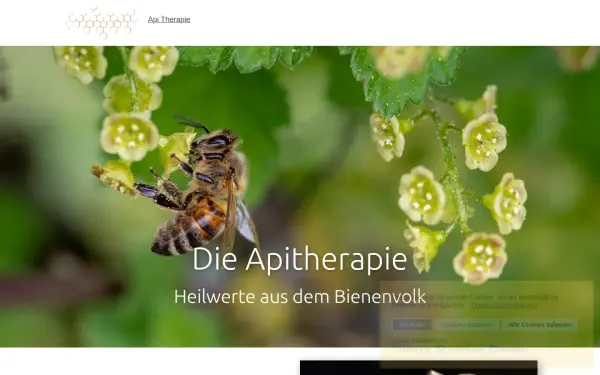 api-therapie.de