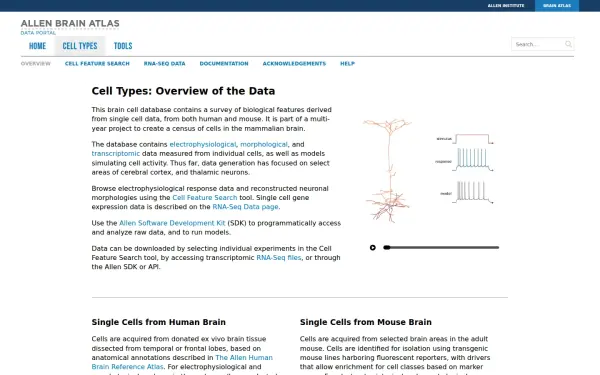 celltypes.brain-map.org