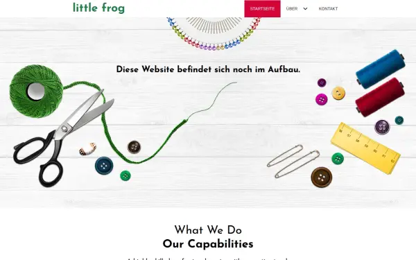 little-frog.de