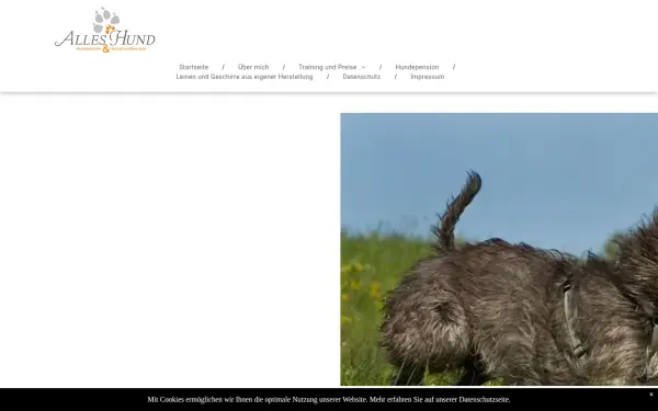 www.alleshund.de