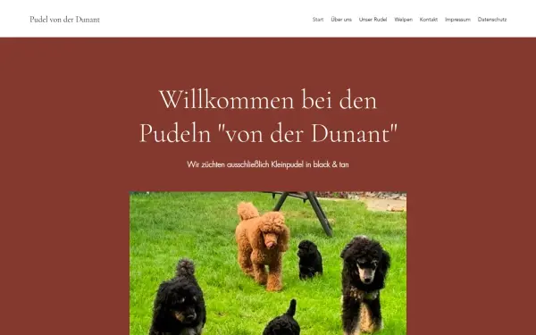 www.pudel-von-der-dunant.de
