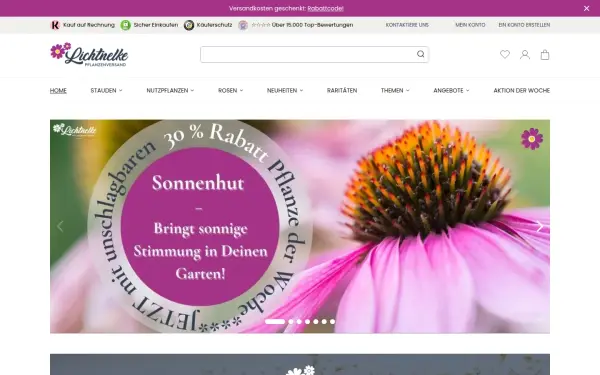 www.lichtnelke.de