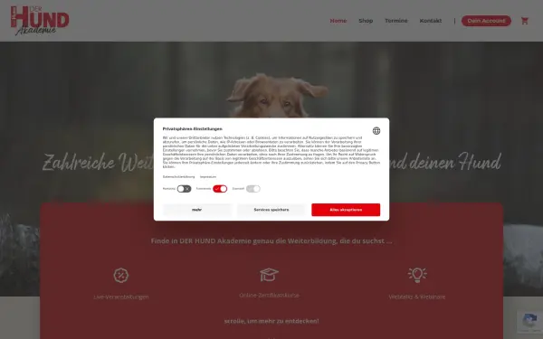 akademie.derhund.de