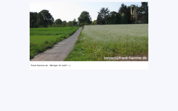 www.die-geigers.de