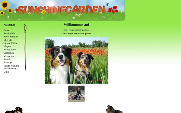 aussie-zwinger-sunshinegarden.de