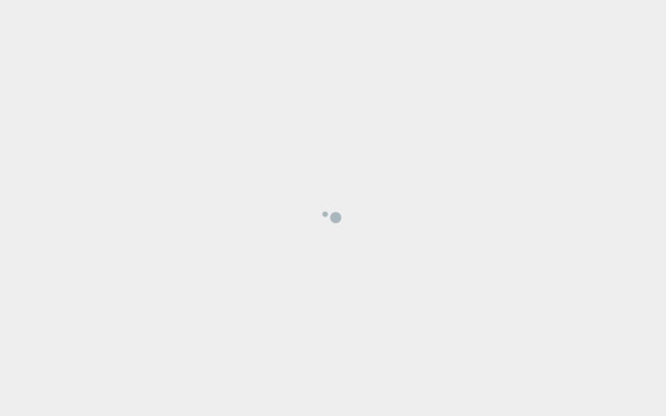 megadating.de