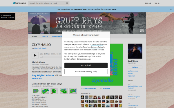 gruffrhys.bandcamp.com