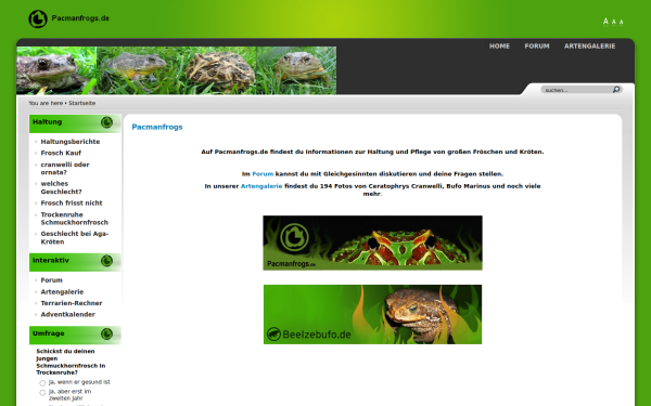 pacmanfrogs.de
