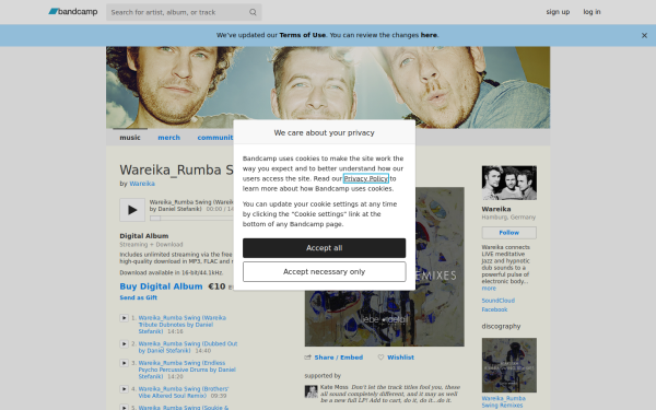 wareika.bandcamp.com