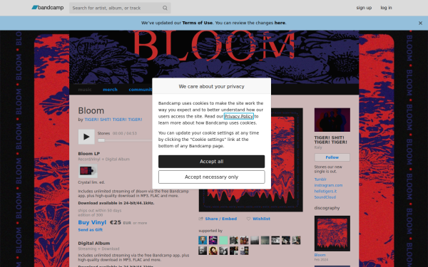 wearetstt.bandcamp.com