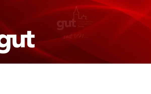 gut-gengenbach.de