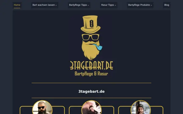 3tagebart.de