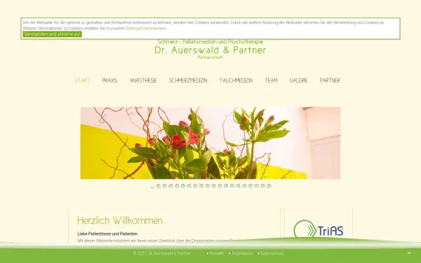schmerztherapie-bremen.de