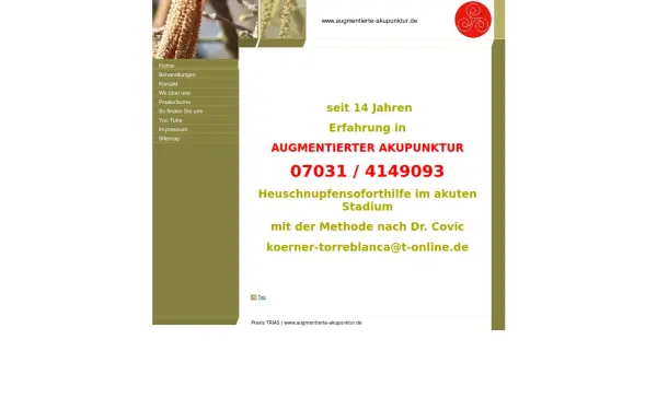 augmentierte-akupunktur.de