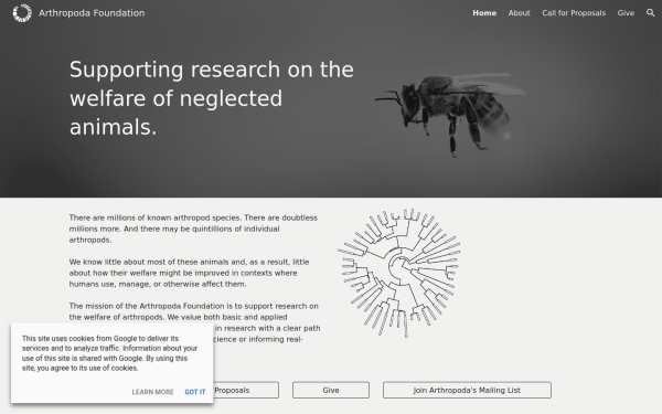 www.arthropodafoundation.org