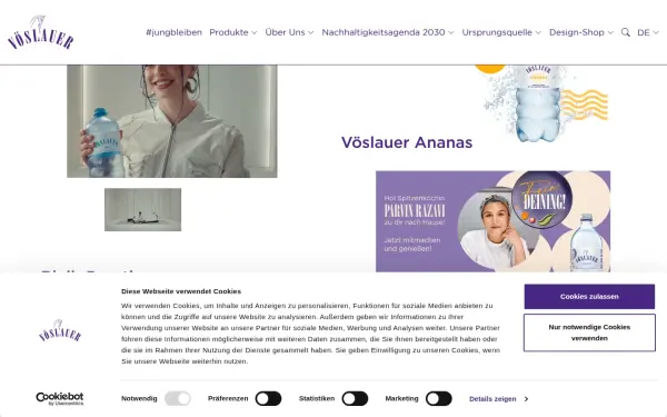www.voeslauer.com