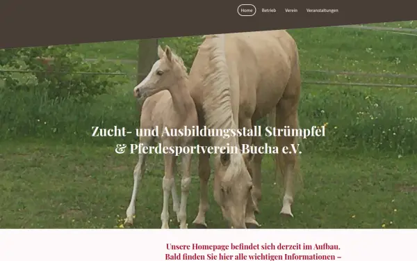www.pferde-in-bucha.de