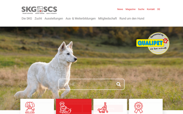 www.skg.ch