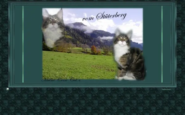 alles-vomstueterberg.de