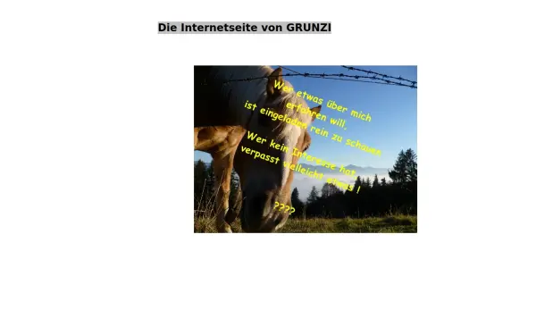 grunzi.de