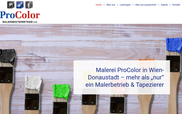 www.maler-procolor.at