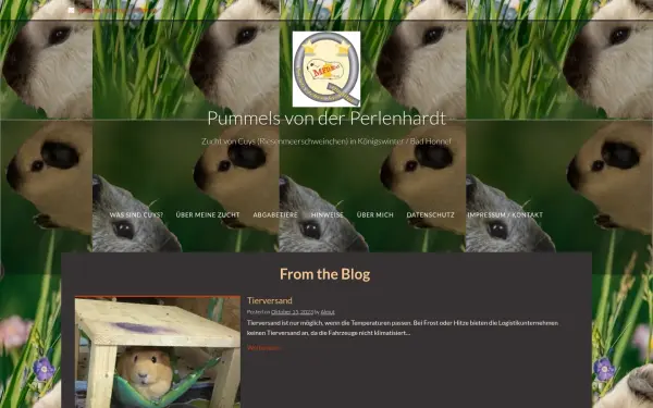 pummels.de