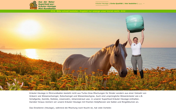 www.minirundballen.de