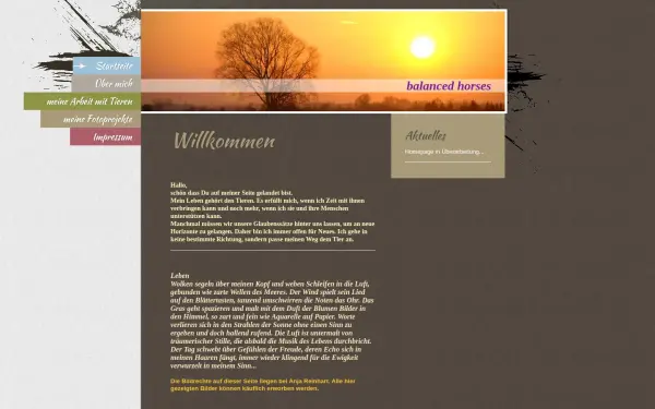 www.balanced-horses.de