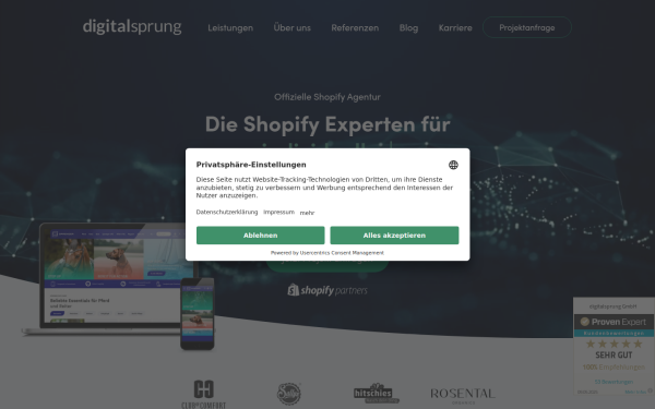 digitalsprung.de