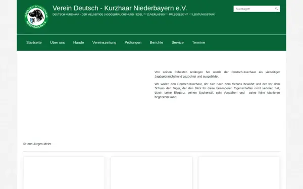 dkniederbayern.de