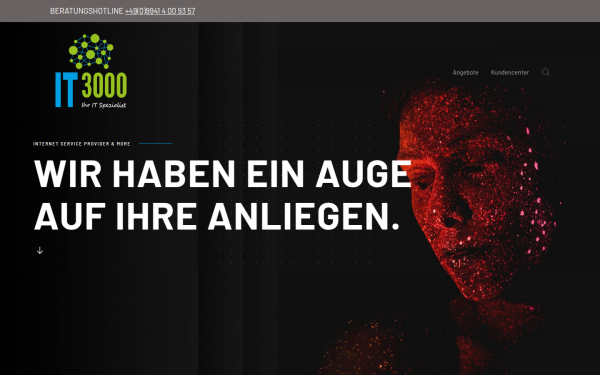www.it3000.de