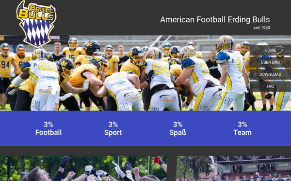 www.bulls-erding.de