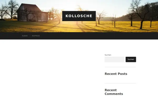 alex-kollosche.de