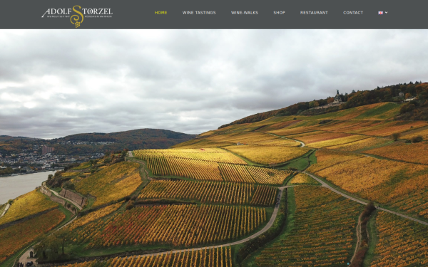 weingut-adolf-stoerzel.de