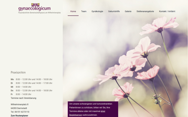 gynaecologicum-darmstadt.de