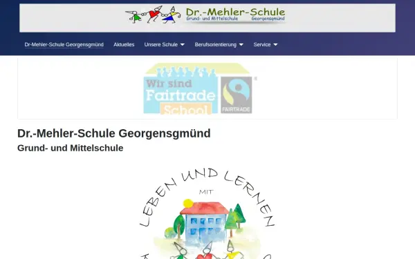 dr-mehler-schule.de