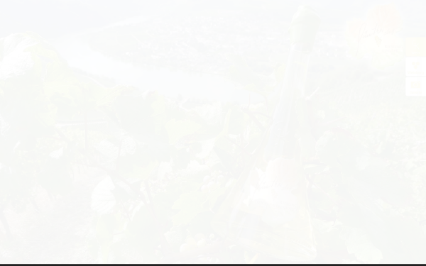 www.guentherslay.com