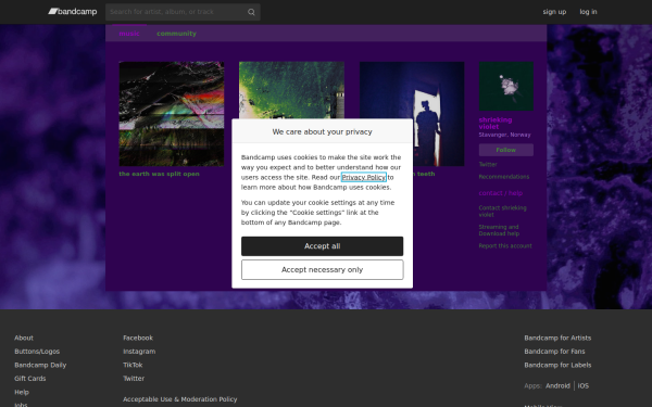 shriekingviolet.bandcamp.com