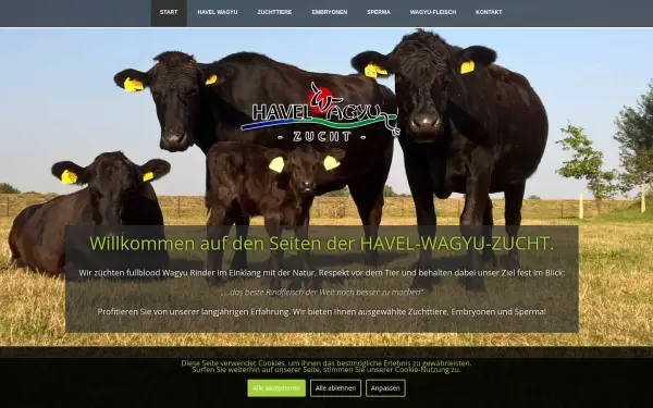 havel-wagyu-zucht.de