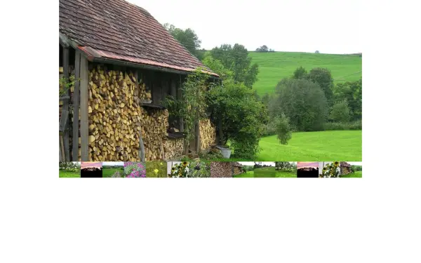 bachtelers.de