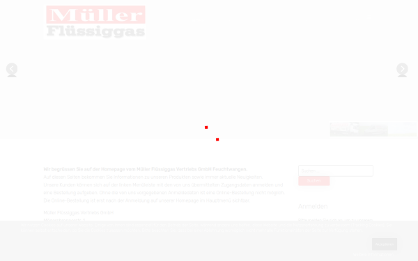 mueller-fluessiggas.de