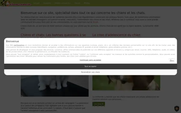 www.chiens-chats.be
