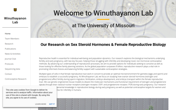 ww7nw.mufaculty.umsystem.edu