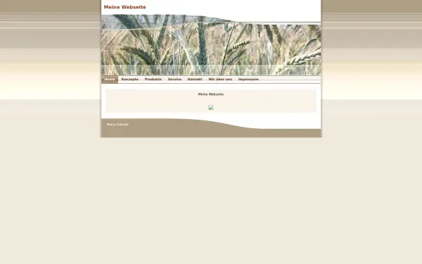 meine-webseite.de