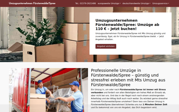 mts-umzug.de