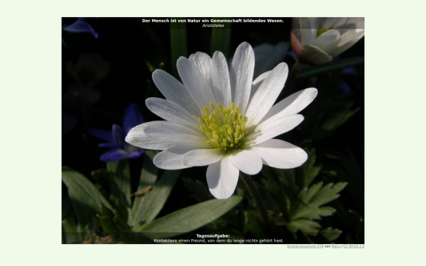 glueck.de