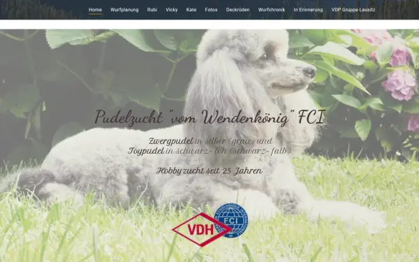 www.pudelvomwendenkoenigoberhavel.de
