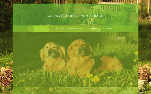 goldenretriever-zwinger.de